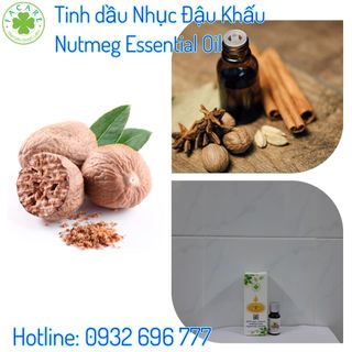 Tinh Dầu Nhục Đậu Khấu Nutmeg essential oil - 100ml giá sỉ