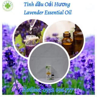 Tinh dầu Oải Hương Lavender essential oil giúp thơm phòng - 10ml giá sỉ