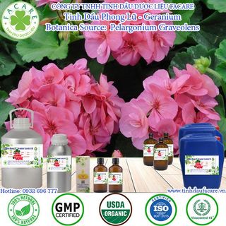 Tinh dầu phong lữ geranium essential oil thiên nhiên xông phòng mùi thơm- 50ml giá sỉ