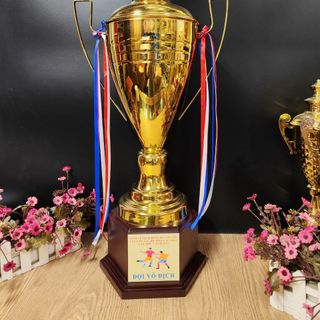 cúp thi đấu thể thao,cúp trao giải,cúp bóng đá các loại cúp vinh danh cá nhân sự kiện
