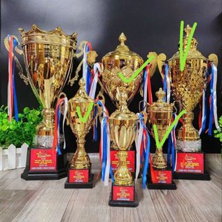 cúp thi đấu thể thao,cúp trao giải,cúp bóng đá các loại cúp vinh danh cá nhân sự kiện