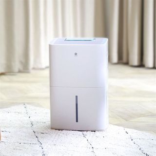 Máy hút ẩm thông minh Xiaomi New Widetech - Kết nối App, sấy quần áo 12L 18L 30L