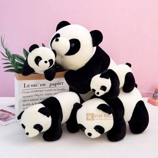 Gấu trúc nhồi bông Panda