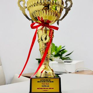 cúp vinh danh spa, cúp sự kiện,cung cấp cúp trao giải mẫu mã chất lượng đa dạng