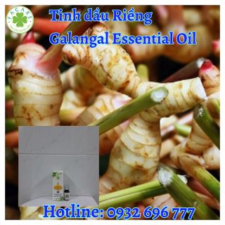 Tinh dầu riềng Galangal Essential Oil - 100ml giá sỉ