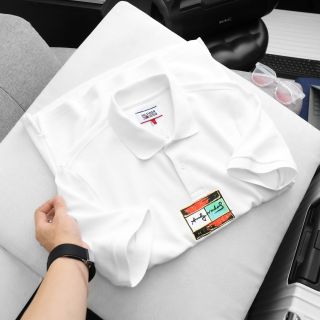 Áo thun polo nam, áo thun cổ bẻ nam cao cấp, chất vải xuất dư, mịn đẹp dày dặn. Sờ vải là thích. Phối cổ  trẻ trung. Đơn giản - size từ 55kg - 85kg