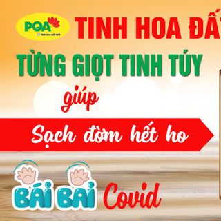 PQA Nhân Sâm Bổ Phổi