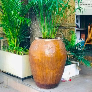 💥 Sale 30% trong tháng 6 các mẫu chum Bình Dương