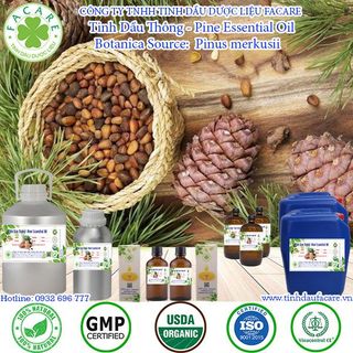 Tinh dầu Thông Pine essential oil giúp làm sạch không khí, nguyên liệu sản xuất nước hoa, xà phòng - 500ml giá sỉ