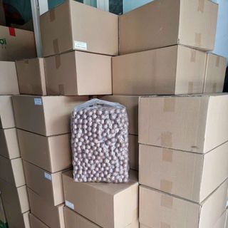 Hạt mắc ca