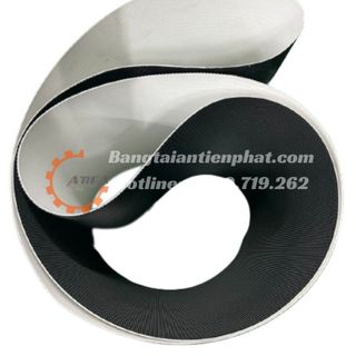 Băng tải máy chạy bộ