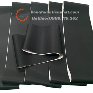 Băng tải máy chạy bộ