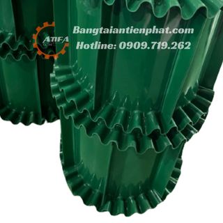 Băng tải pvc có bèo và gờ