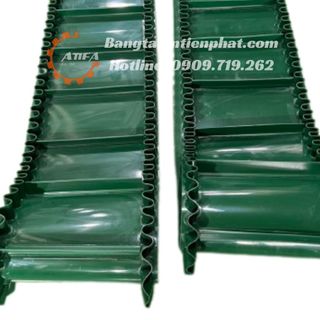 Băng tải pvc có bèo và gờ
