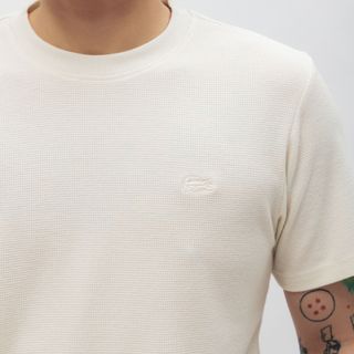 Áo thun cotton 4c nam, áo thun nam cao cấp, chất 100% cotton dệt tổ ong vừa dày mình, hình thêu đống màu tinh tế - size từ 55kg - 85kg