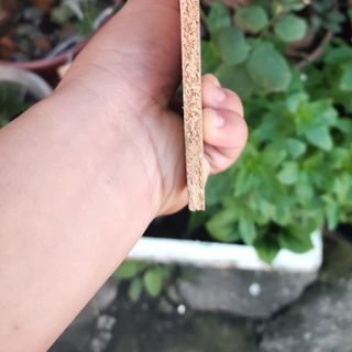 Gỗ thông nguyên tấm 5mm 14*50cm chuyên làm hàng thủ công
