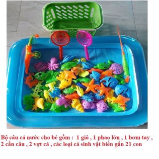 Bể câu cá 
Phao to 40x60cm