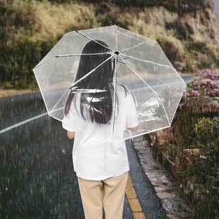 Ô Dù Trong Suốt Dễ Thương Gấp Gọn Dùng Đi Mưa Chụp Ảnh Chụp Hình Thời Trang