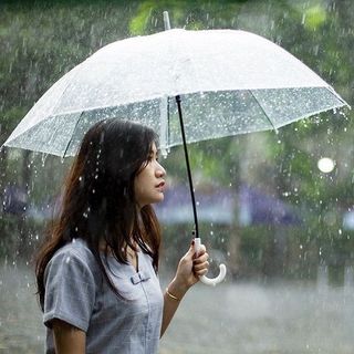 Ô Dù Trong Suốt Dễ Thương Gấp Gọn Dùng Đi Mưa Chụp Ảnh Chụp Hình Thời Trang