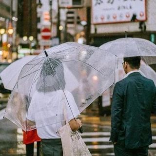 Ô Dù Trong Suốt Dễ Thương Gấp Gọn Dùng Đi Mưa Chụp Ảnh Chụp Hình Thời Trang