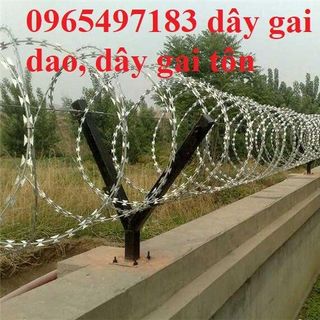 Dây thép gai hình dao đường kính 60cm có sẵn tại kho Hà Nội