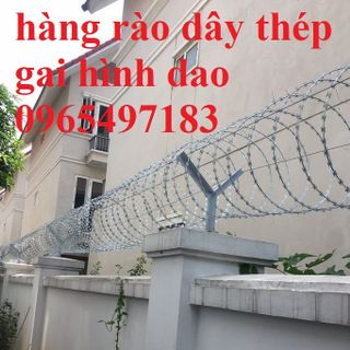 Dây thép gai hình dao đường kính 60cm có sẵn tại kho Hà Nội