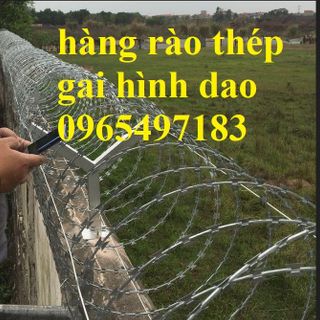 Dây thép gai hình dao đường kính 60cm có sẵn tại kho Hà Nội