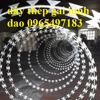 Dây thép gai hình dao đường kính 60cm có sẵn tại kho Hà Nội