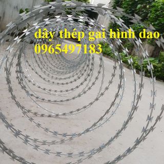 Dây thép gai hình dao đường kính 60cm có sẵn tại kho Hà Nội
