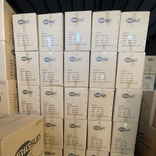 Máy Sấy Tóc Cao Cấp Bigsun  BD-600A
