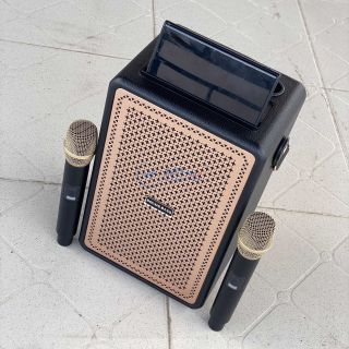 Loa Bluetooth Karaoke Booms Bass M4203 Bass Mạnh, Kèm 2 Micro Không Dây