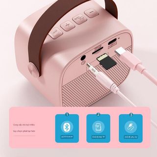 Loa Bluetooth Mini Kraoke Kèm 1 Mic D20 - Âm Bass Cực Hay - Nhiều Chế Độ Hát - Công Suất 6w