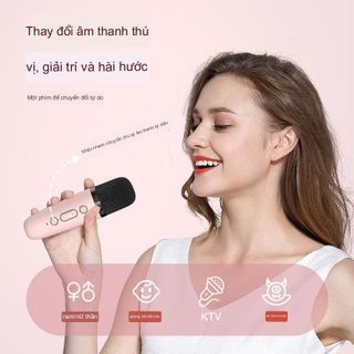 Loa Bluetooth Mini Kraoke Kèm 1 Mic D20 - Âm Bass Cực Hay - Nhiều Chế Độ Hát - Công Suất 6w