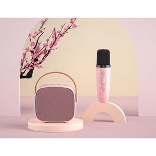 Loa Bluetooth Mini Kraoke Kèm 1 Mic D20 - Âm Bass Cực Hay - Nhiều Chế Độ Hát - Công Suất 6w