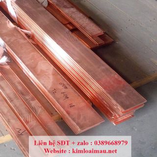 Thanh đồng đỏ 80x10mm