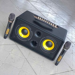 Loa Di Động MTMAX DK01 – Loa Xách Tay Công Suất Lớn, Bass Đôi, Kèm 2 Micro Cao Cấp