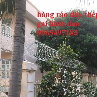Hàng rào dây thép gai hình lưỡi dao chống trộm bảo vệ nhà ở , biệt thự, trang trại, bảo vệ an ninh quốc phòng