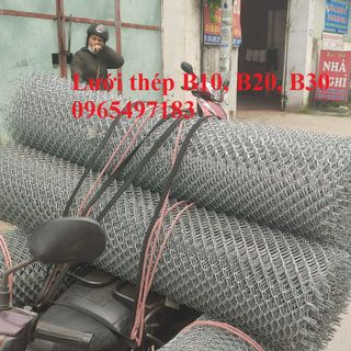 Lưới thép B10, B20, B25, B30 mạ kẽm làm hàng rào, chuồng trại chăn nuôi