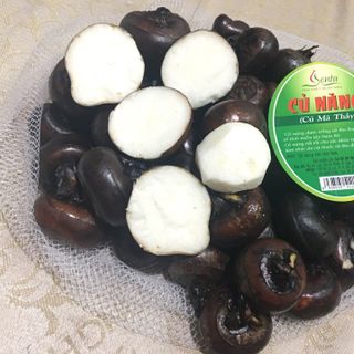 Củ Năng, củ mã thầy