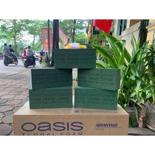 Xốp Oasis Mút cắm hoa loại 1 thấm hút tốt nhất