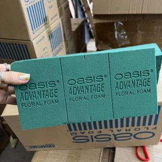 Xốp Oasis Mút cắm hoa loại 1 thấm hút tốt nhất