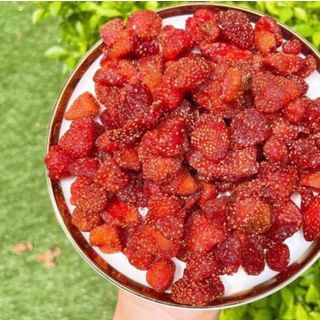 Dâu tây sấy dẻo