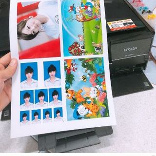 Epson 804