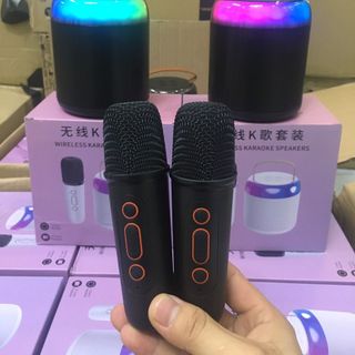 Loa kèm mic hát karaoke Y2 hát hay bắt giọng