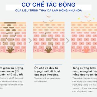 Kem Làm Hồng Nhũ Hoa Nuwhite N1 Mibiti Prudente Mỹ 5ml