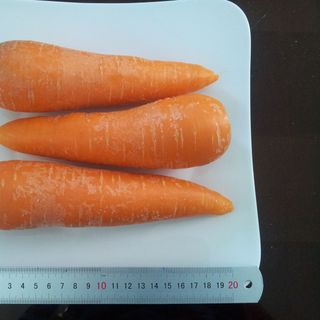 CÀ RỐT ĐÔNG LẠNH , IQF CARROT IQF, FROZEN CARROT FROZEN TO EXPORT FROM AN VAN THINH FOOD COMPANY (AVTF / AVTFOOD)