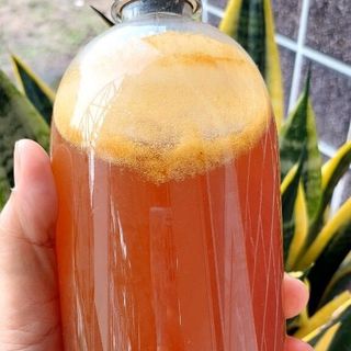 Mật ong ruồi rừng nguyên chất