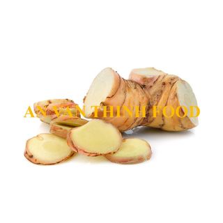 RIỀNG ĐÔNG LẠNH / IQF GALANGAL IQF, FROZEN GALANGAL FROZEN TO EXPORT FROM AN VAN THINH FOOD COMPANY (AVTF / AVTFOOD) giá sỉ