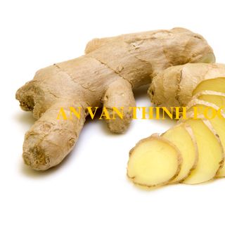GỪNG ĐÔNG LẠNH / IQF GINGER IQF, FROZEN GINGER FROZEN TO EXPORT FROM AN VAN THINH FOOD COMPANY (AVTF / AVTFOOD) giá sỉ