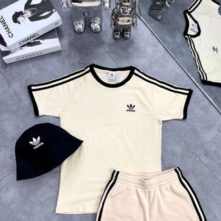 Áo thun cotton nam, áo thun nam cao cấp, chất cotton 100% 4c cao cấp, mịn đẹp - size từ 49kg - 85kg